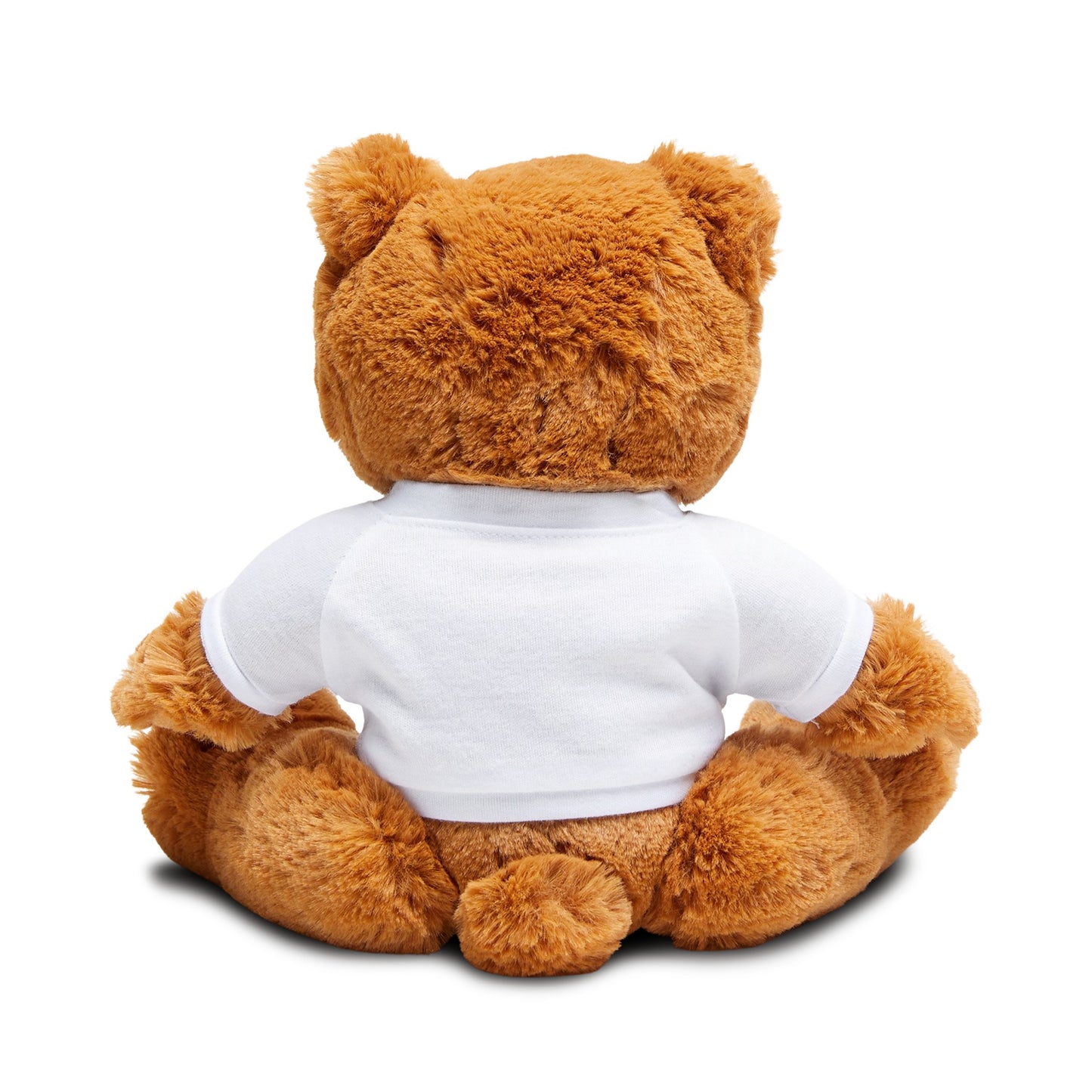 Radioactive Raven - Gaim Ready Teddy Bear with T-Shirt