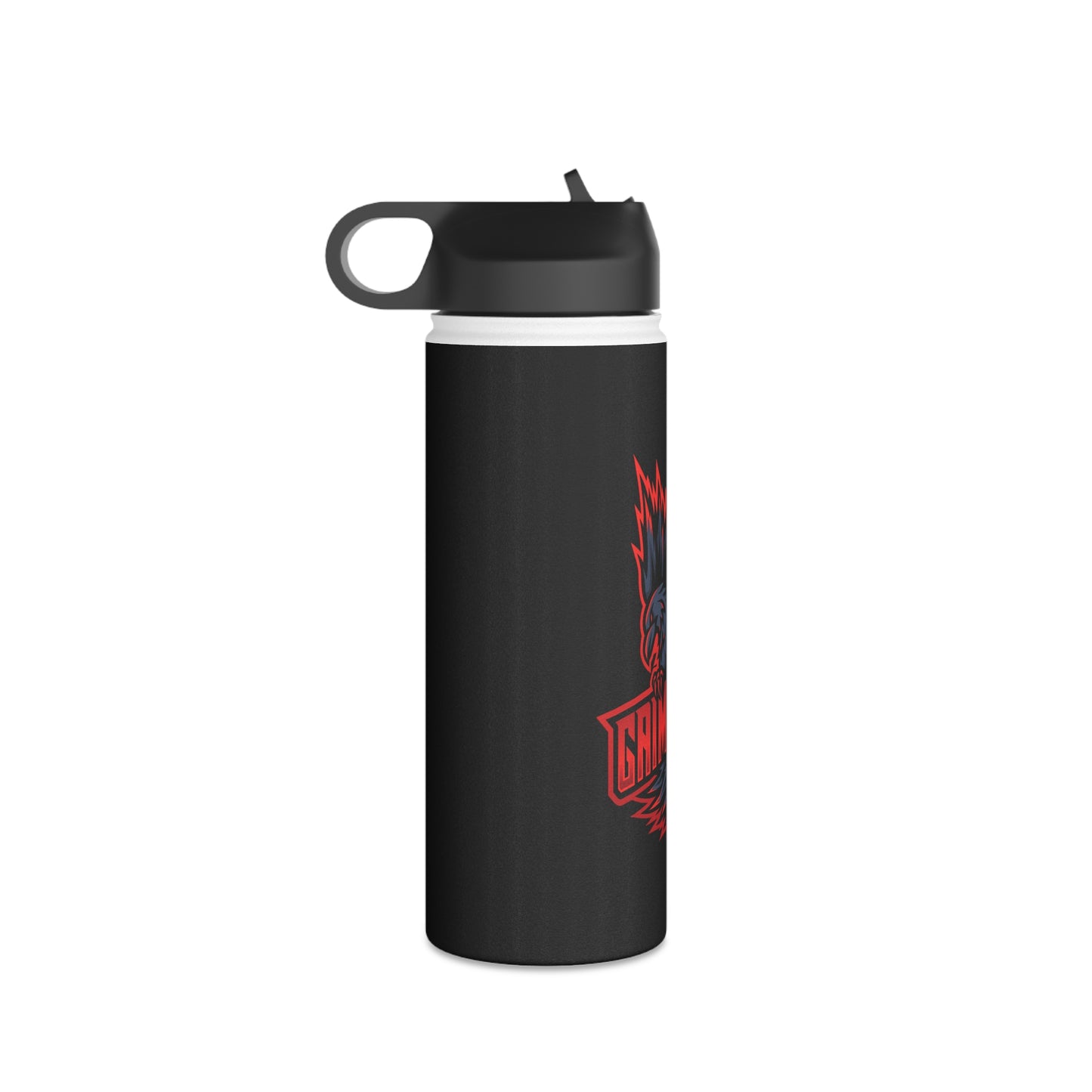 Gaim Ready Stainless Steel Water Bottle, Standard Lid