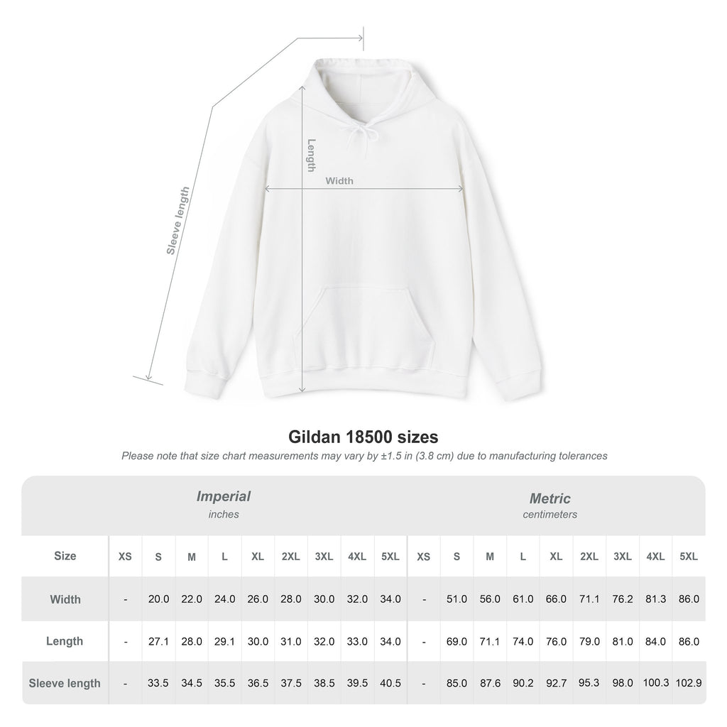 No Healer, No Problem — RPG Party Hoodie