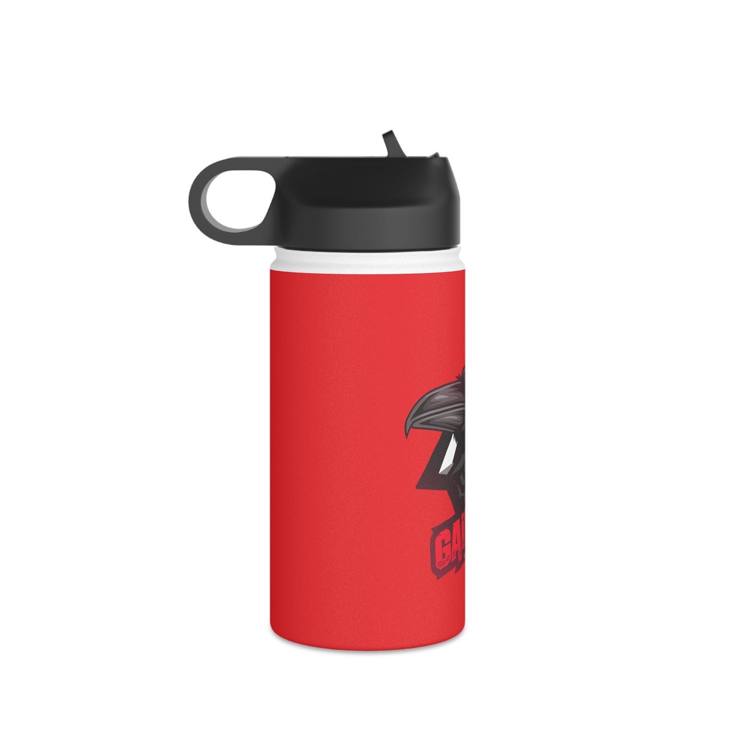 Gaim Ready Stainless Steel Water Bottle, Standard Lid