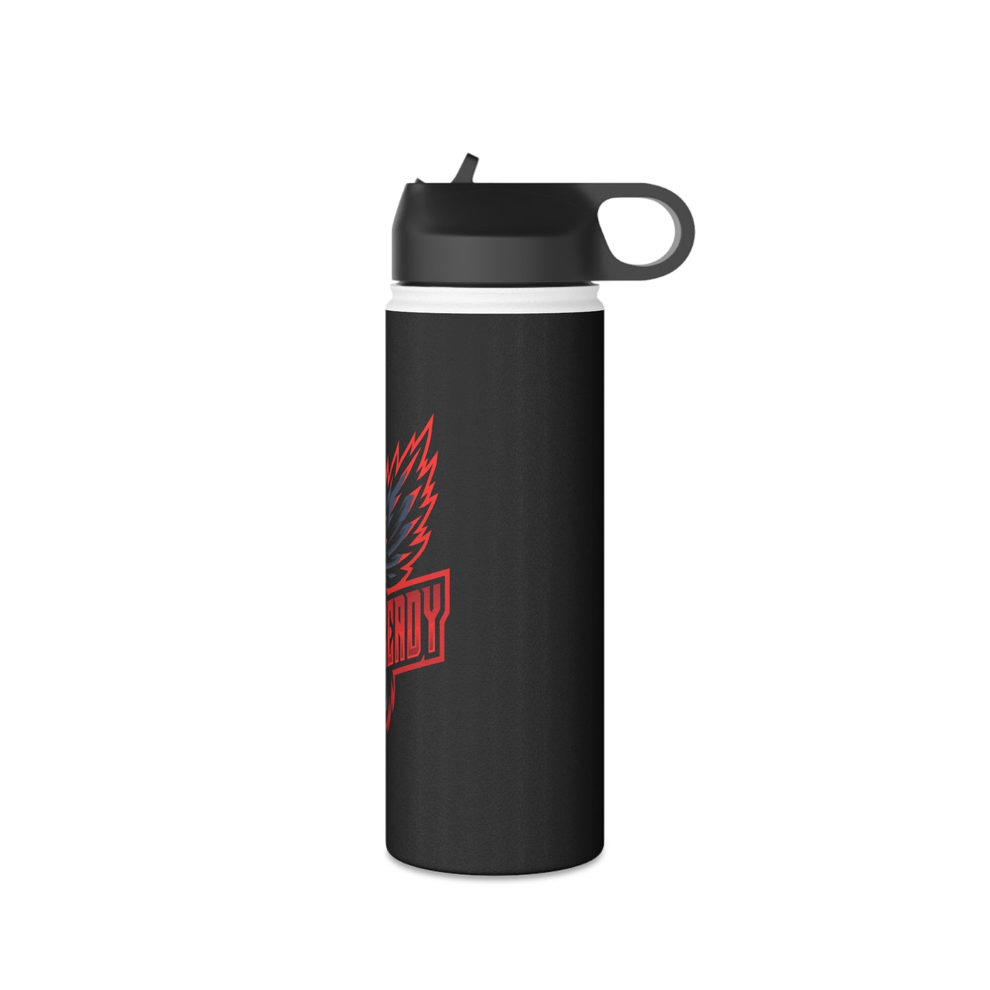 Gaim Ready Stainless Steel Water Bottle, Standard Lid